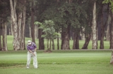 Golf 2013_3